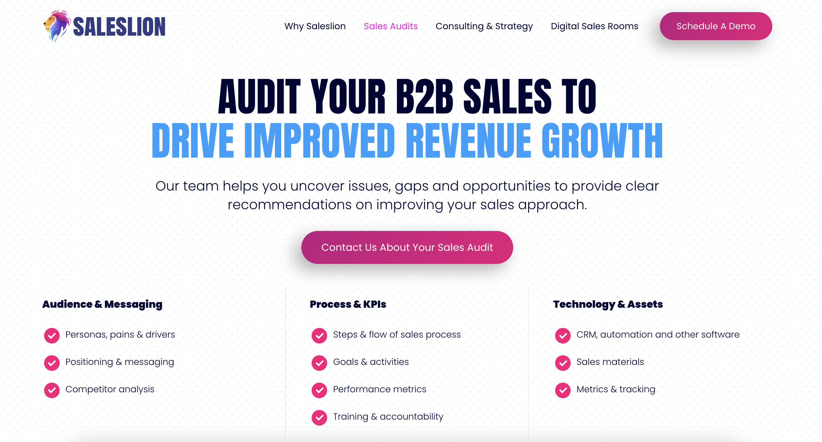 saleslion sales audit