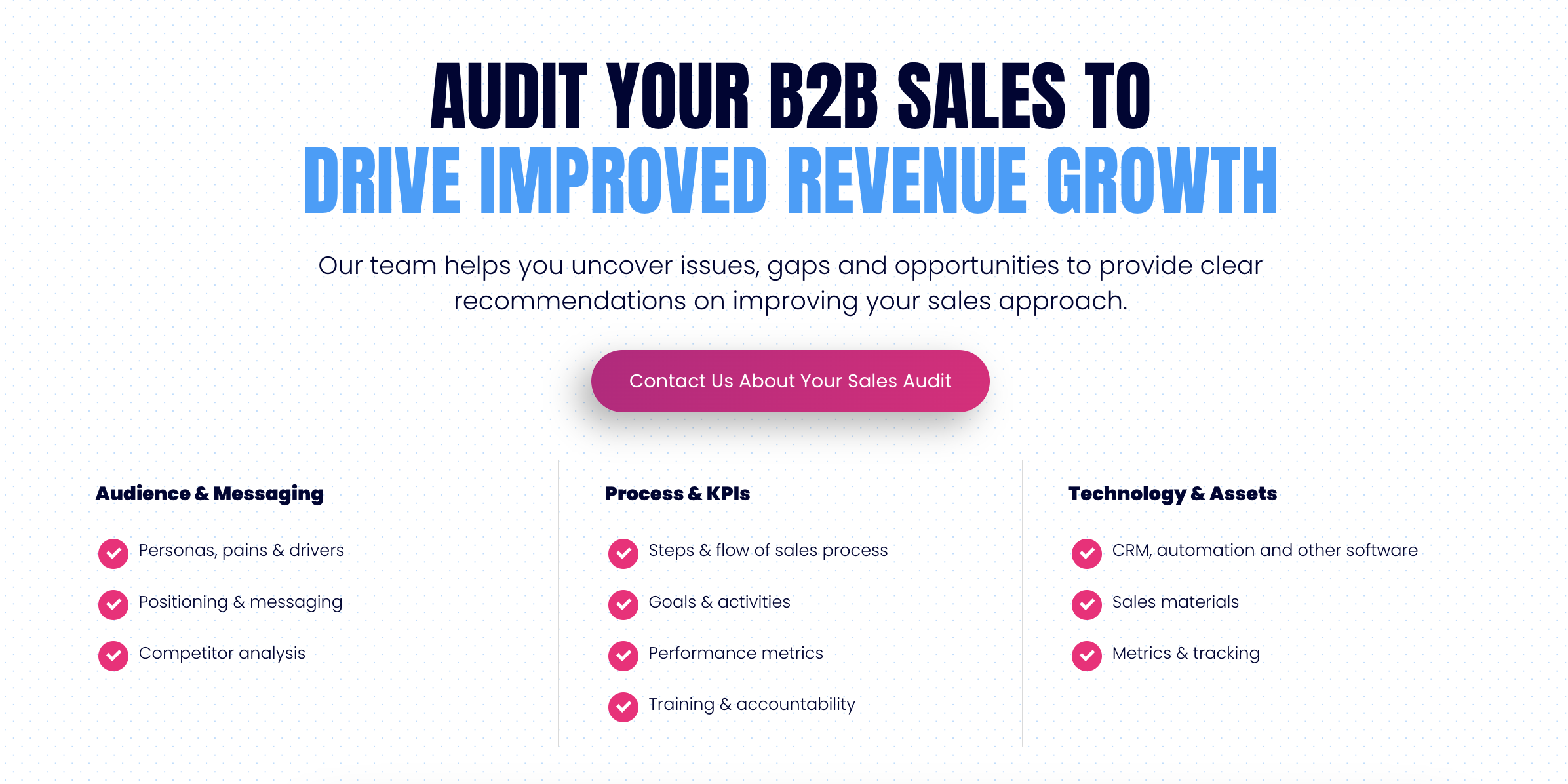 saleslion sales audit